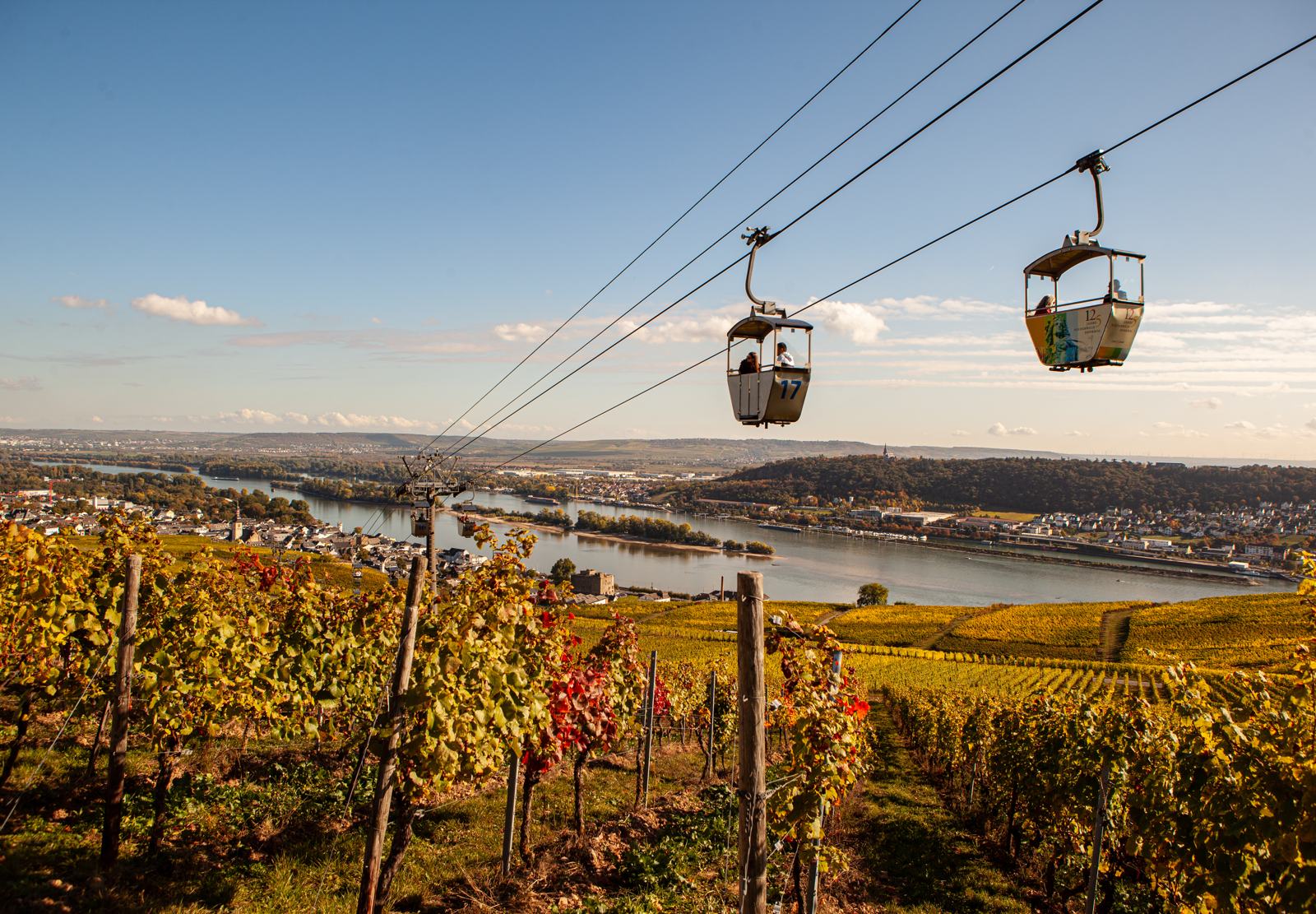 Vineyards above Rüdesheim am Rhein